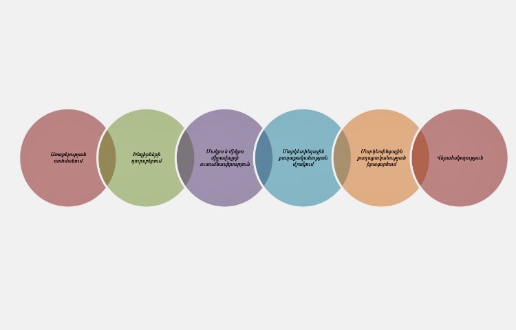 Անգրագետ մարքեթինգը բիզնեսի տապալման հիմնական պատճառ. հայաստանյան շուկայի տարածված սխալները․ Ծովինար Սարգսյան