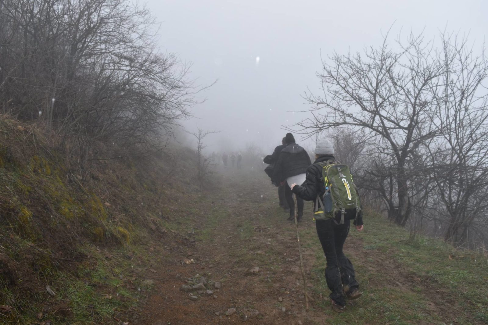 Ոչ նյութական կապիտալը՝ լավագույն շահույթ. «Նեթվորք արշավները» կարծրատիպեր է կոտրում