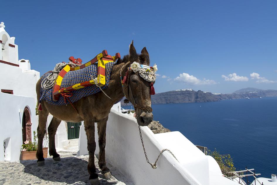 Այն, ինչ չգիտես Սանտորինիի մասին