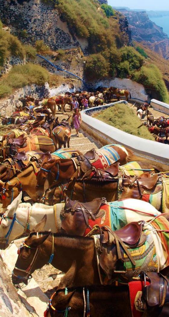 Այն, ինչ չգիտես Սանտորինիի մասին