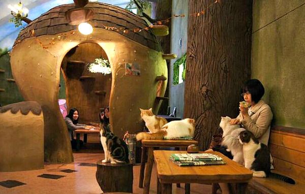 Այն, ինչ չգիտես Տոկիոյի մասին. քաղաքային մարքեթինգ