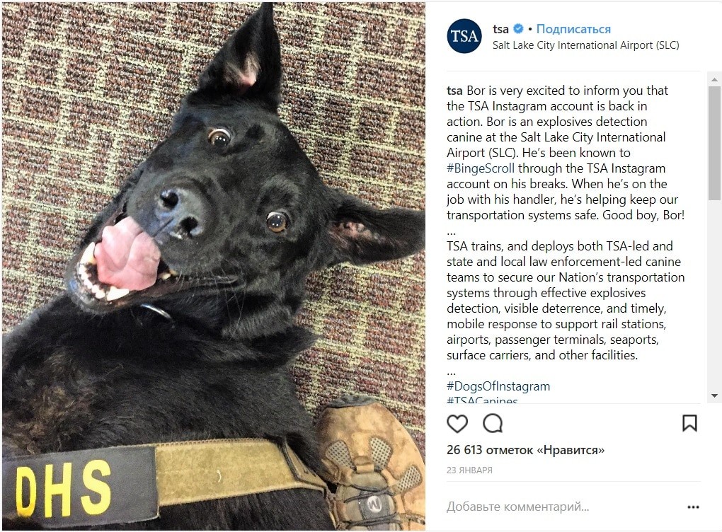 Ինստագրամյան 6 ակտիվ հաշիվները