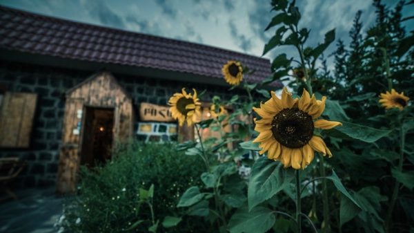 Բիզնեսը մարզերում․ փոքր տարածքից՝ բոհեմյան միջավայր․ «Բոհեմ արվեստանոց-թեյարան». Գոհար Մնացականյան Բիզնեսը մարզերում․ փոքր տարածքից՝ բոհեմյան միջավայր․ «Բոհեմ արվեստանոց-թեյարան». Գոհար Մնացականյան