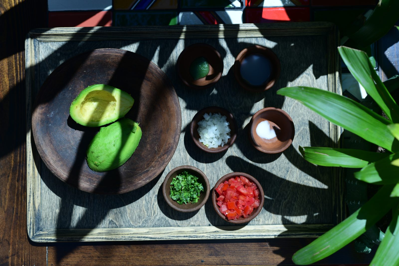 Տեկիլա, գուակամոլե… մեքսիկական աուրա Հայատանում. Արփինե Զուրֆլուհ